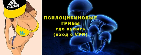 spice Заволжск